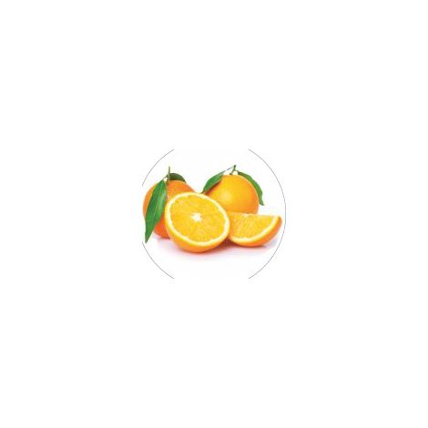 Magneti - frutta piatta