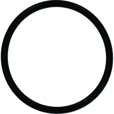 Ersatzteil O-Ring 43 x 3