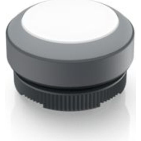 RAFI 1.30.270.001/2208 RAFIX 22 FS Leuchtdrucktaster    tastend  (L x B x H) 29.8 x 29.8 x 18.5 mm