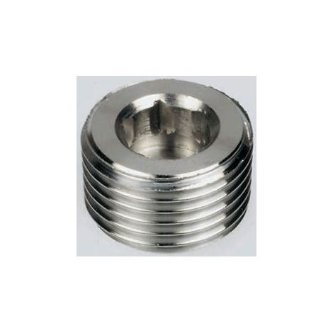 Bouchon Legris, R 1/8" mâle ( Prix pour Paquet de 2 )