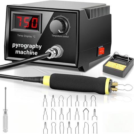 Kit per pirografia da 100 W, macchina professionale per pirografia da 100-750 °C con 21 punte, set di strumenti per saldatura, temperatura regolabile per incisione su pelle, arte e artigianato.