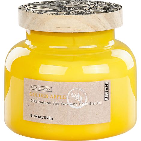 Vela perfumada 100% cera de soja mecha de algodón vidrio fragancia fresca manzana golden Delight Bliss