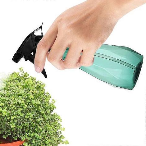 Vaporisateur à brume fine pour fleurs, arrosoir, arrosoir pour plantes grasses, vaporisateur, 500 ml (1/4)