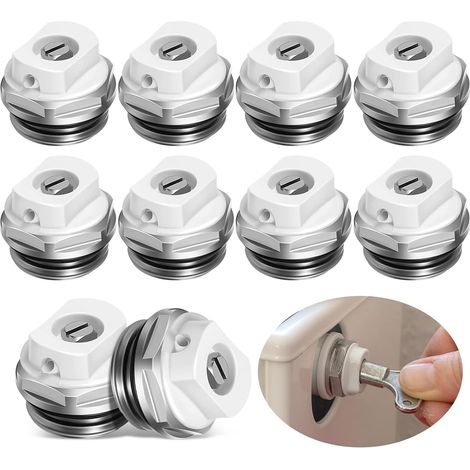 10 Pcs Bouchons de Purge Radiateur Manuel 1/2 Pouce en Laiton (1/5)
