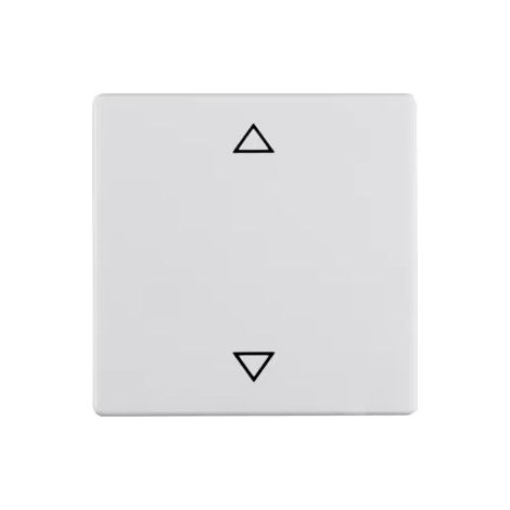 Berker Wippe mit Aufdr Symbol Pfeile Q.1/Q.3 pw 16206079 (1/2)