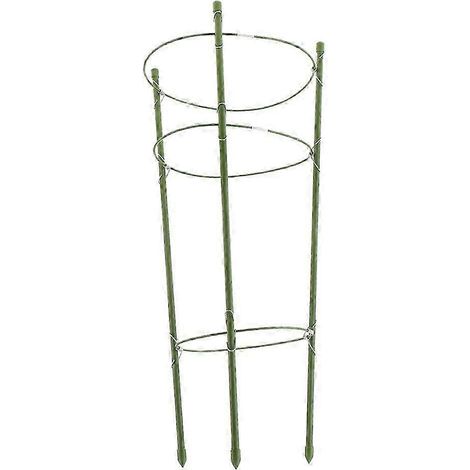 Tuteur métallique pour plantes de jardin, support pour tomates -