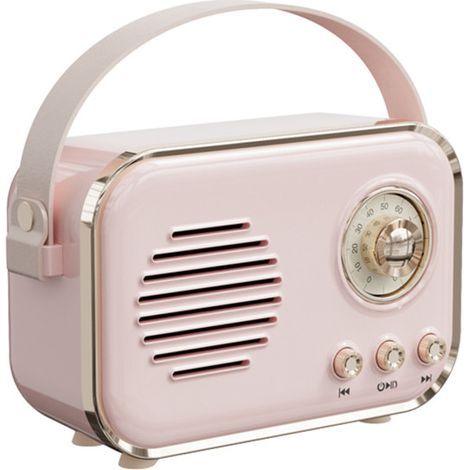 Radio FM portable multifonction, mini - son sans fil Bluetooth, chant à la maison, karaoké, carte TF, lecture FM, Haut - parleur de basse Hi - FI, cadeau décoratif (1/5)