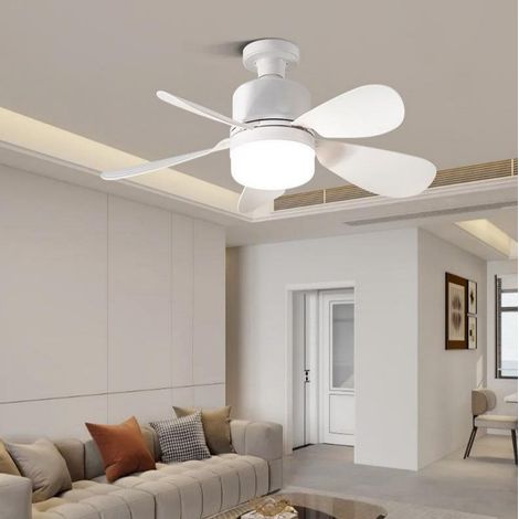 Ventilateur de plafond avec éclairage intégré, télécommande, culot à vis E27, mini ventilateur de plafond portable, idéal pour la chambre, la cuisine et le salon (52 cm)