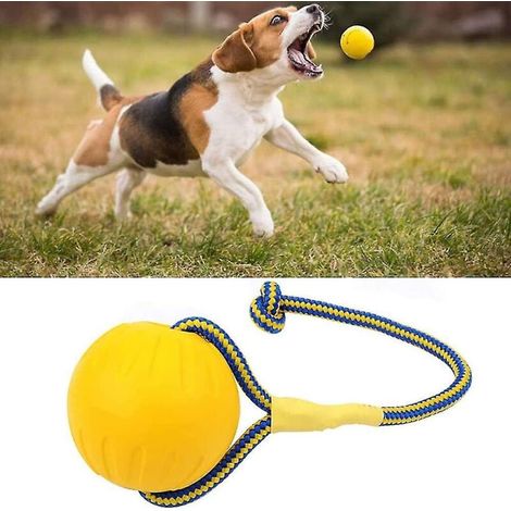 Interaktiver Kauball für Hunde mit Seil – 7 cm Durchmesser (1/4)