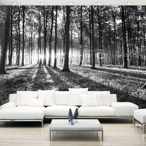Fotomurale adesivo - Grey Wilderness - 196x140 (1/4)
