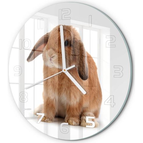 Horloge Murale Ronde Originale Verre Trempé Décoration Maison Moderne Lapin rouge fi 30 cm (1/5)