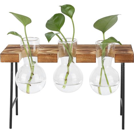 Lot en verre transparent pour plantes aquatiques, support en bois pour table, décoration de bureau, mini tabouret, 3 bouteilles + présentoir (1/5)