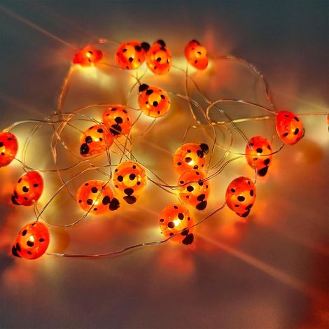 1 Guirlande lumineuse coccinelle, 3m, 30 LED rouge, fil cuivre, modes fixe clignotant, piles AA, intérieur extérieur (1/5)