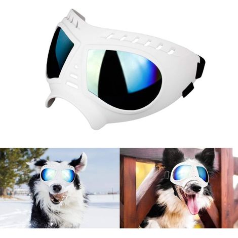 Lunettes pour Chien Lunettes pour Animaux de Compagnie, Lunettes pour Moyen Grand Chien de Anti-UV Imperméable et Coupe-Vent - Blanc-Fei Yu (1/5)