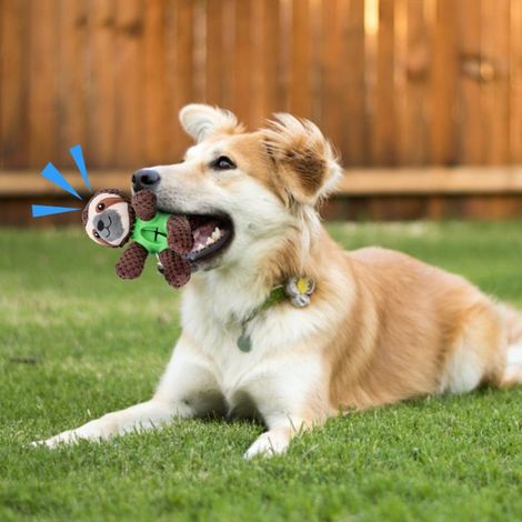 Peluche Paresseux pour Chien - Éducative, Distributeur de Nourriture, Cris, Grincement de Dents, Interactive, Compagnon, Accessoires pour Animaux de Compagnie Verts (1/5)