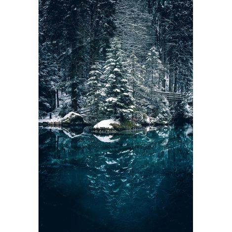 Tableau sur toile l'hiver 30x45 cm - Impression sur Toile Murale Décorative - Image imprimée en HD sur Toile - Toile sur Châssis en Bois FSC - Fabriqué en France (1/5)