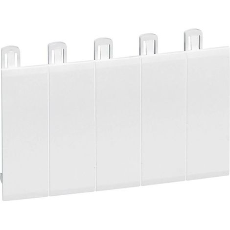 Otturatore 5 Moduli per Coprimorsetti EKINOXE RAL 9003 LEGRAND 001660  Bianco