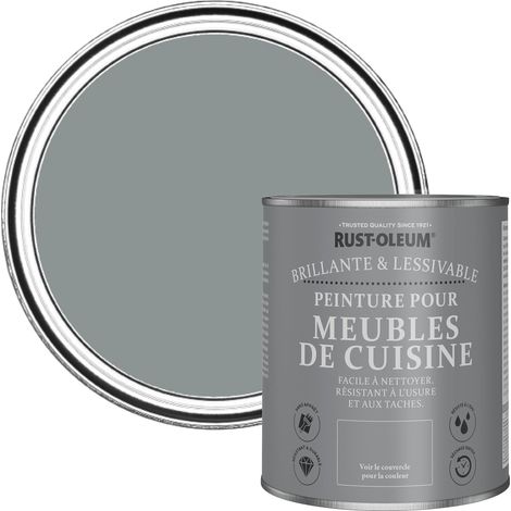 Peinture Grise pour Meubles de Cuisine, Finition Brillante - Ardoise 750ml (1/5)