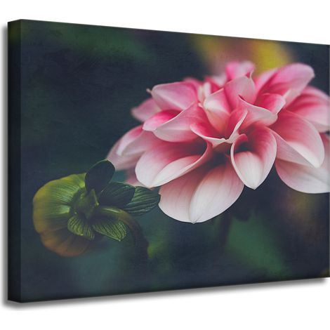 Leinwanddruck „Botanische rosa Dahlie“ 40 x 30 cm