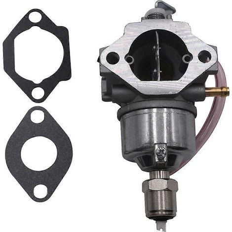 Carburateur John Deere AM122605 LX186 - Ensemble de carburateur professionnel - Fournitures pour tondeuses (1/5)