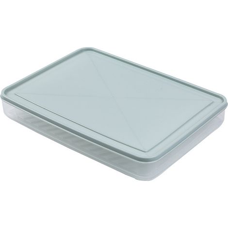 Boîte de Rangement Congélateur Alimentaire avec Couvercle Anti-Poussière et Fond Anti-Adhérence, PP Transparent, 30.7x22.8x4.2cm, 207g, Bleu Clair