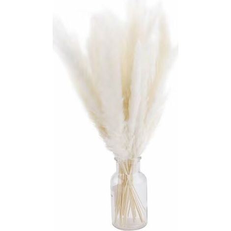 30 Pack Bohemian Style Dried Artificial Pampas Grass Home Decor Phragmites Dried Flowers for Vases White Flower Bouquet Wedding (White，Without Vase)