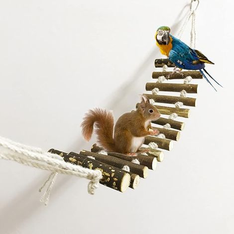 Echelle à Oiseaux Oiseaux Balançoires Echelles Pont pour Perroquets (1/4)