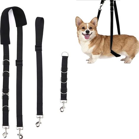 Ensemble de toilettage pour chien 3 pièces avec sangle d'extension, accessoires de lavage, de coupe et de séchage, table de toilettage et anneau pour animal de compagnie noir. (1/4)