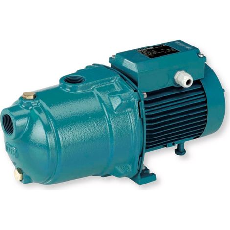 Pompe De Surface Autoamorçante Calpeda Ngl - Fonte 4.8 M3/h 220v - Pompe Pour Jardin Auto Amorçante (1/5)