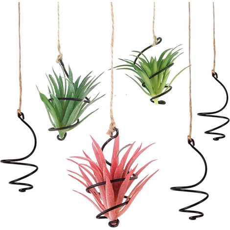 Set de 6 Porte-Plantes Suspendus, Supports pour Plantes aériennes avec Cordes en Jute, Présentoir pour Plantes aériennes sans Terre pour la Maison et Le Bureau (1/5)