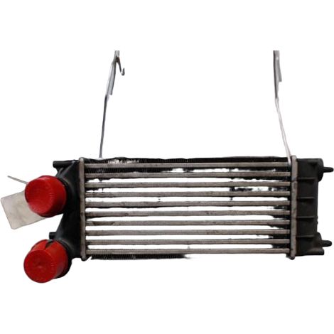 Echangeur Air CITROEN C4 Picasso [PRODUIT D'OCCASION]♻️0384n9 (1/3)