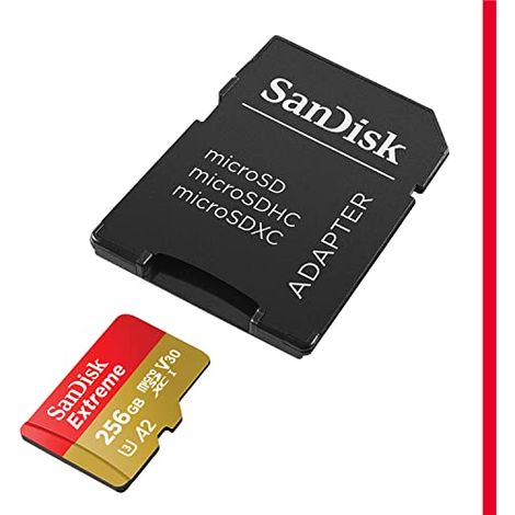 Carte microSDXC 256 Go avec adaptateur