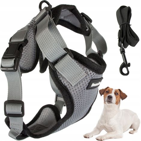 ARN脡S PARA PERRO L SIN PRESI脫N (100) GABA (1/5)