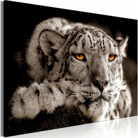 Tableau yeux magiques écarquillés - 120 x 80 cm (1/4)