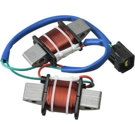 Bobine D'Éclairage Hors-Bord pour Moteur 2 Temps 50/60/70 CV PN 6H2-85533-01-00 (1/4)