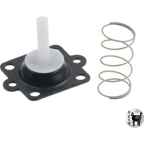 Kit de réparation pour pompe d'accélération 811287 (80-125 CV, 1988-2004) (1/4)