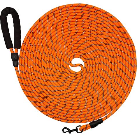 Longe Dressage Chien 10M – Laisse Solide avec Poignée Confort + Mousqueton Sécurisé – Grands, Moyens, Petits Chiens (1/5)