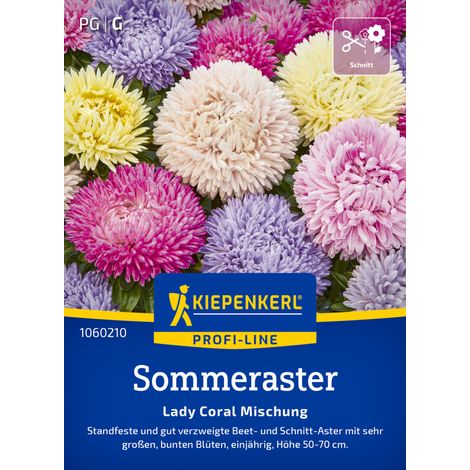Kiepenkerl Profi-Line Blumensamen Sommeraster Lady Carol Mischung für ca. 50 Pflanzen (1/2)