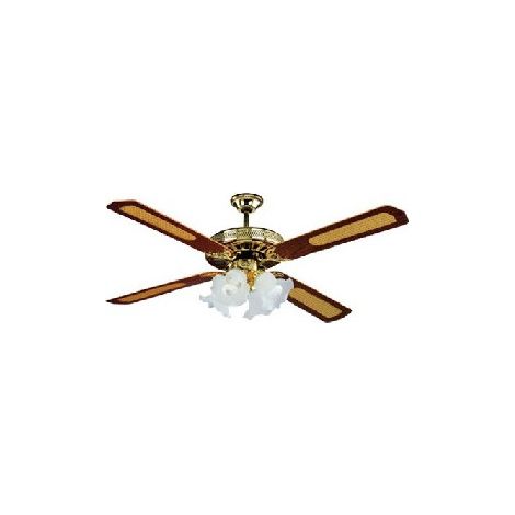 DCG Eltronic VECRD53 ventilateur Marron, Jaune
