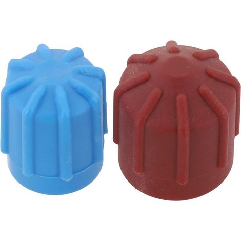 Lot de 2 bouchons de valve pour climatisation de voiture - Haute basse pression - R134a - Compatible avec r1234yf (1/5)