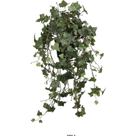 Chute de lierre artificiel en pot, L 75 cm (1/3)
