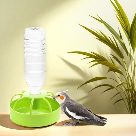 Lot de 2 mangeoires pour volailles, abreuvoir en plastique pour petites volailles, poulets, canards, pigeons, cailles (1/4)