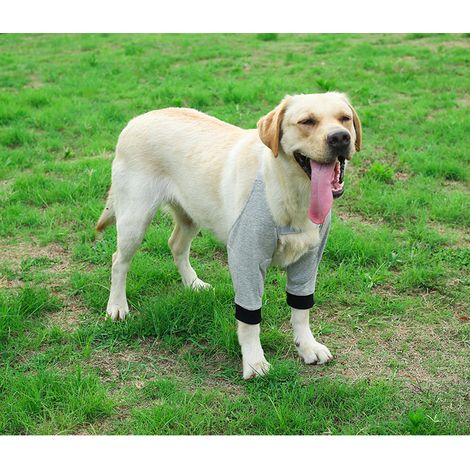 Coudières de protection souples et respirantes pour soulager la douleur et soutenir les épaules des chiens (XL)