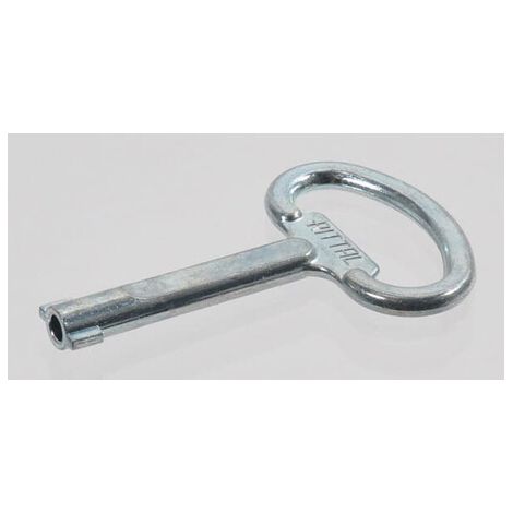 Rittal SZ 2531.000 Chiave a doppia testa argentata sicurezza