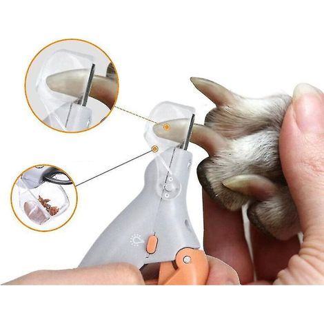 Crea – Professionelle Krallenschere für Hunde und Katzen – Klinge aus Edelstahl – Integrierte Lupe – LED-Licht für präzises Schneiden (1/5)