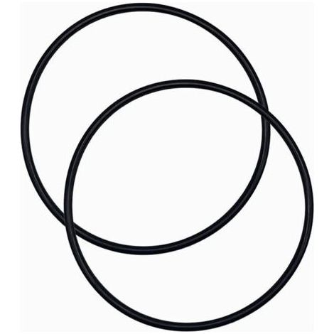 Joint d’Étanchéité en O-Ring pour Chlorinateur Hayward CL200/CL220 – Lot de 2 – Référence CLX200K (1/5)