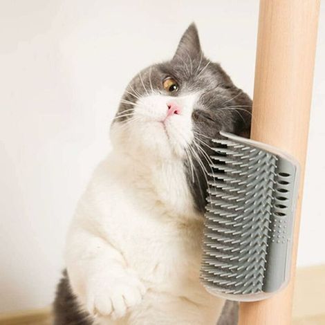 Peine masajeador para gatos de 2 piezas, cepillo de aseo para gatos, cepillo masajeador de esquina para gatos montado en la pared, con hierba gatera, dispositivo de masaje perfecto para gatos de pelo (1/5)