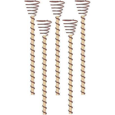 Piquets de plantes d'électroculture, 5 pièces, longs piquets de jardin en cuivre, antennes à bobine de cuivre pour la culture du jardin (1/5)