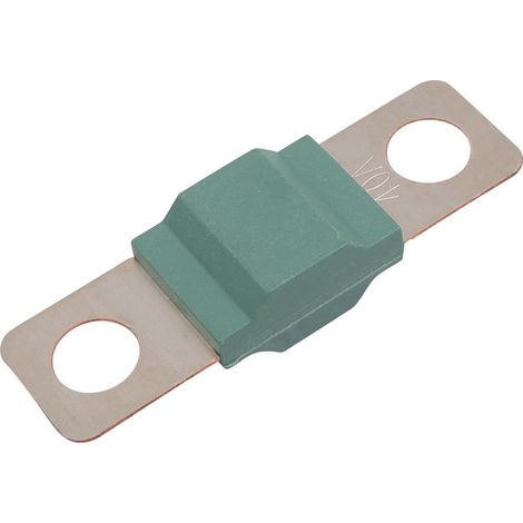TRU COMPONENTS TC-13545876  Sicherung  40 A 80 V/DC  Inhalt 10 St. Bulk