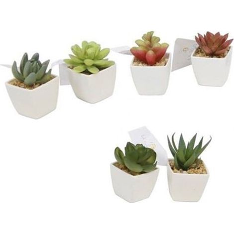 TRADE SHOP - Set 12pz Mini Pianta Grassa Artificiale Con Vaso In Porcellana Bianco 5x5x8cm 210921 - (1/2)